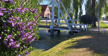 Das Foto zeigt Blumen, einen Kanal und eine Brücke. So sieht es auf der gegenüberliegenden Seite des inklusiven Wohnhauses aus.